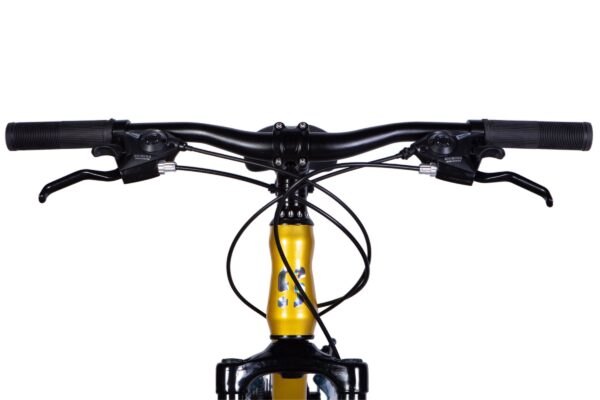 Close-up of bicycle handlebars and brakes