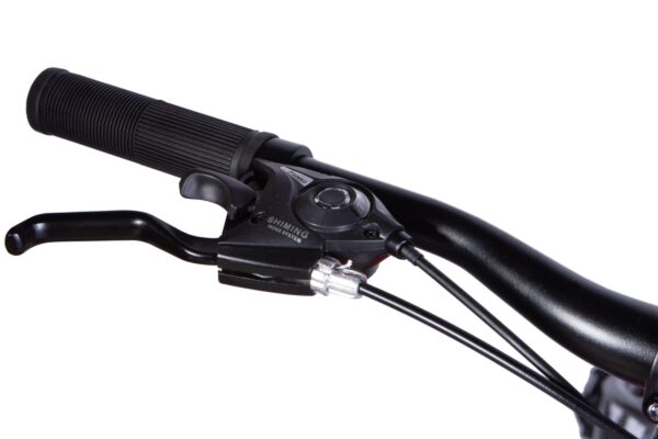 Close-up of bicycle handlebar and brake lever.