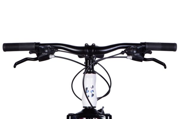 Close-up of bicycle handlebars and controls