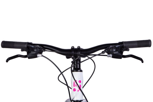 Close-up of a bicycle handlebar and controls.