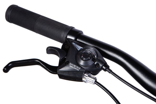Close-up of a bicycle brake lever and grip.