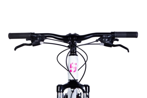 Close-up of bicycle handlebars and controls