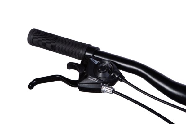 Close-up of a bicycle handlebar with brakes.