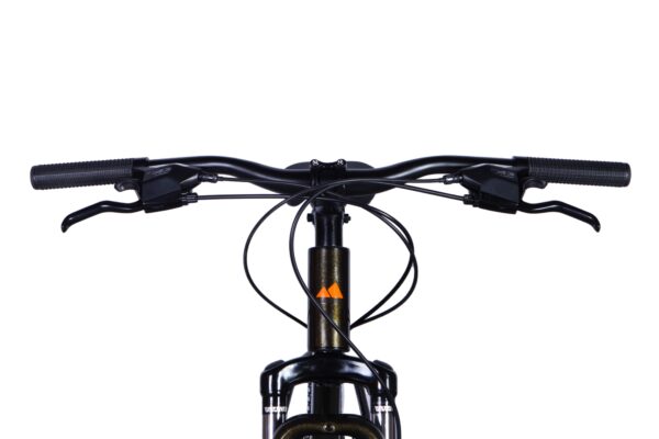 Close-up of a bicycle handlebar and controls.
